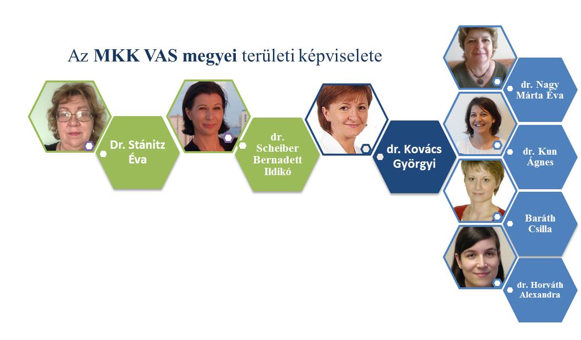 MKK Vas megyei területi képviselete